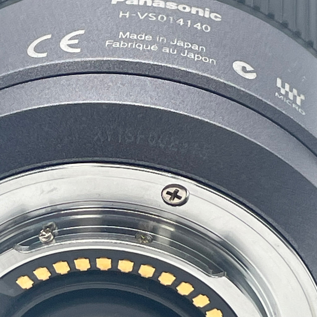 Panasonic Lumix G VARIO HD 14-140mm F/4.0-5.8 ASPH. MEGA O.I.S.
