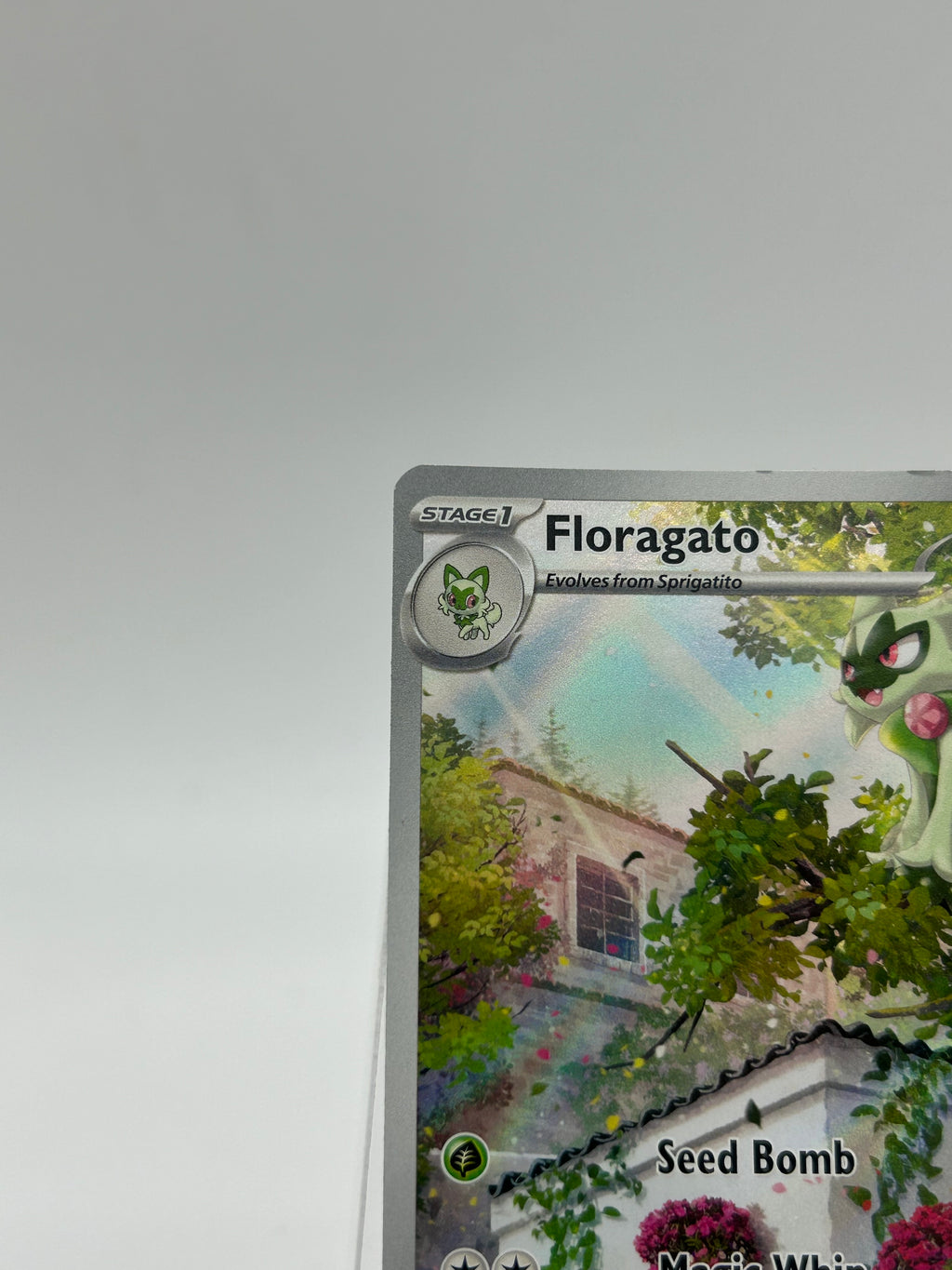Pokemon Floragato #197/193 Black Used - A Raw Ungraded