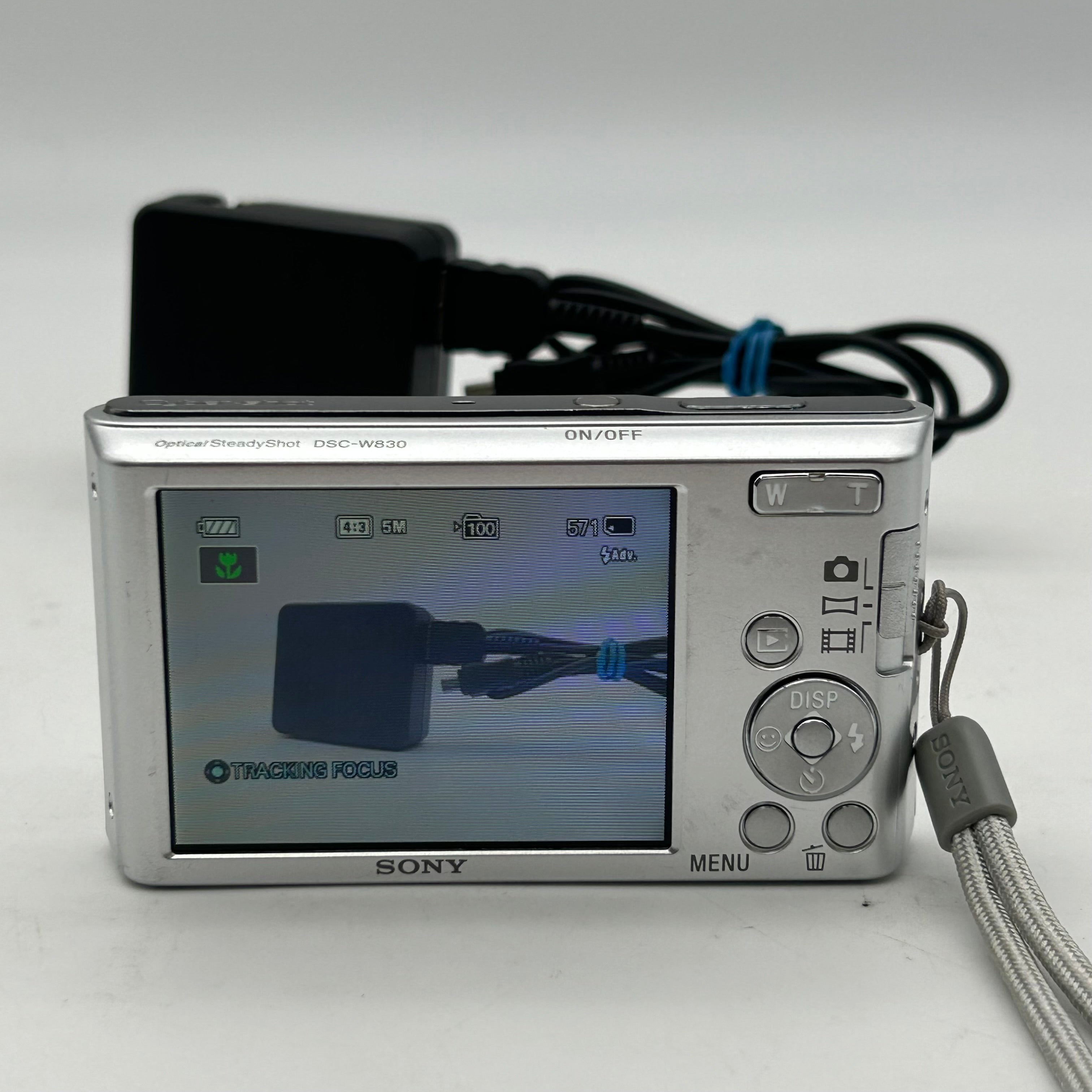 Silver Sony Cyber-Shot DSC-W830 20.1MP 8x Optical Zoom Digital Camera